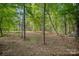 The wooded backyard provides privacy and a beautiful setting at 1313 Western Hills Ln, Vale, NC 28168