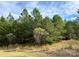 Vacant lot with lush green trees at 14108 Rhone Valley Dr, Charlotte, NC 28278
