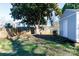 Large backyard with shed and established tree at 207 Lee St, Fort Mill, SC 29715