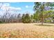 Large backyard with mature trees and patchy grass at 11015 Vista Haven Dr, Charlotte, NC 28226