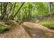 A small creek flows through a densely wooded area, providing a peaceful and natural setting at 795 French Belk Rd, Mt Ulla, NC 28125