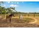 A horse standing next to a horse exerciser under a blue sky in an enclosed dirt pen at 795 French Belk Rd, Mt Ulla, NC 28125