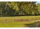 Scenic paddock with grazing horses and rustic wooden fence, offering a tranquil country lifestyle at 795 French Belk Rd, Mt Ulla, NC 28125