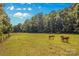 Expansive pasture with grazing horses, surrounded by lush greenery and a classic wooden fence at 795 French Belk Rd, Mt Ulla, NC 28125