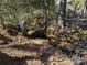 Natural stream flowing through a wooded area, adding a unique element to the property at 1370 Null Rd, Lincolnton, NC 28092