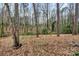 View of the treelined backyard, full of trees and greenery at 1418 Nottingham Rd, Kannapolis, NC 28081