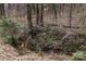 View of the treelined backyard, featuring a small stream and greenery at 1418 Nottingham Rd, Kannapolis, NC 28081