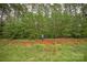 Image of land surrounded by trees and greenery, showcasing the natural beauty of the property at 5053 Townsend Rd, Lancaster, SC 29720