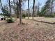Residential front yard with tree and leaf covered ground at 701 Victorian Ln, Monroe, NC 28112