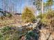 Backyard featuring a serene rock pond with a waterfall feature, surrounded by lush greenery and foliage at 4465 Red Hill Cir, Denver, NC 28037