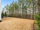 Spacious backyard with grassy area and tall trees at 443 Brier Knob Dr, Fort Mill, SC 29715