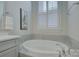 Bathroom with garden tub, shower, and white vanity at 45528 Misty Bluff Dr, Charlotte, NC 28278