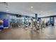 Fitness center with various exercise equipment at 45528 Misty Bluff Dr, Charlotte, NC 28278