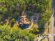 Expansive property featuring a luxurious pool and beautifully manicured lawns, all enclosed by a vibrant, verdant canopy of trees at 1024 Adkins Rd, York, SC 29745