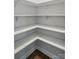 Walk-in pantry with built-in shelving, offering ample storage space at 4005 Grace Pointe Dr # 100, Wesley Chapel, NC 28079