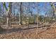 Wooded backyard with mature trees and natural landscaping at 6706 Queensberry Dr, Charlotte, NC 28226