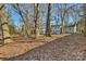 House and backyard with mature trees and leaf covered ground at 6706 Queensberry Dr, Charlotte, NC 28226