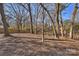 Wooded backyard with mature trees and leaf covered ground at 6706 Queensberry Dr, Charlotte, NC 28226