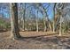 Wooded backyard with mature trees and natural landscaping at 6706 Queensberry Dr, Charlotte, NC 28226