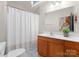 Well-lit bathroom with wood vanity, a shower with curtain, and a large mirror at 10200 Amsterdam Dr, Mount Pleasant, NC 28124