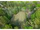 Aerial view of a cleared grass field surrounded by dense green trees at 10200 Amsterdam Dr, Mount Pleasant, NC 28124