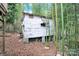 Small white outbuilding nestled amongst bamboo trees at 911 Elm St, Kannapolis, NC 28081