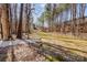 The backyard is surrounded by tall trees and includes a gravel path and rock border at 1000 Weeping Willow Ln, Matthews, NC 28105