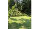 Green backyard with a variety of mature trees and a beautiful flowerbed at 1000 Weeping Willow Ln, Matthews, NC 28105