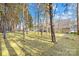 Spacious backyard with mature trees and retaining wall at 13026 Serenity St, Huntersville, NC 28078