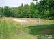 Soccer field with goal, surrounded by green grass at 18038 Greyfield Gln, Fort Mill, SC 29707