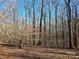 Wooded area behind the property with tall trees at 591 Shiloh Rd, Statesville, NC 28677