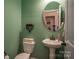 Small powder room with pedestal sink and green walls at 7236 Albemarle Dr, Denver, NC 28037