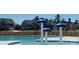 Community pool with mushroom-shaped water features at 146 Dogwood Grove Pl, Troutman, NC 28166