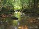 Serene creek with rocks and clear water flowing through woods at 176 Butch Branch Rd, Union Grove, NC 28689