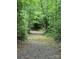 Gravel driveway winding through a wooded area at 176 Butch Branch Rd, Union Grove, NC 28689