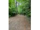 Gravel driveway leading through a wooded area at 176 Butch Branch Rd, Union Grove, NC 28689