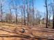 Wooded backyard lot with cleared space at 2103 Timber Ridge Rd, Monroe, NC 28112