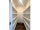 Walk-in pantry with ample shelving for storage and organization at 421 Delburg Mill Alley Dr, Davidson, NC 28036