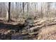 Small creek flows through a wooded area at 338 Piney Grove Rd, Harmony, NC 28634