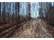 Driveway up a wooded hill at 338 Piney Grove Rd, Harmony, NC 28634