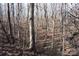 Image of a wooded area with leaf covered ground at 338 Piney Grove Rd, Harmony, NC 28634