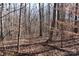 Image of a wooded area with leaf covered ground at 338 Piney Grove Rd, Harmony, NC 28634