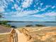 Steps leading down to lake access with multiple boat slips at 15298 Windward Ln, Lancaster, SC 29720