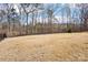 Spacious backyard with lush trees and iron fence at 17311 Carolina Hickory Dr, Huntersville, NC 28078