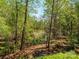 Lush backyard featuring mature trees and a pond providing a tranquil outdoor space at 1448-1 New Prospect Church Rd, Shelby, NC 28150