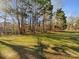Spacious backyard with lush grass and mature trees at 11006 Renoir Ct, Charlotte, NC 28215