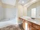 Bathroom with soaking tub, vanity with wood cabinets and large mirror at 11006 Renoir Ct, Charlotte, NC 28215