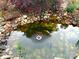 Overhead view of a koi pond with colorful fish at 327 Johnson Dairy Rd, Mooresville, NC 28115