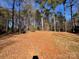 Wooded backyard with cleared areas at 119 Creek View Rd, Mooresville, NC 28117