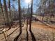 View of backyard with trees and a glimpse of a road at 119 Creek View Rd, Mooresville, NC 28117